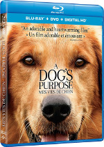 A Dog's Purpose (Mes vies de chien)